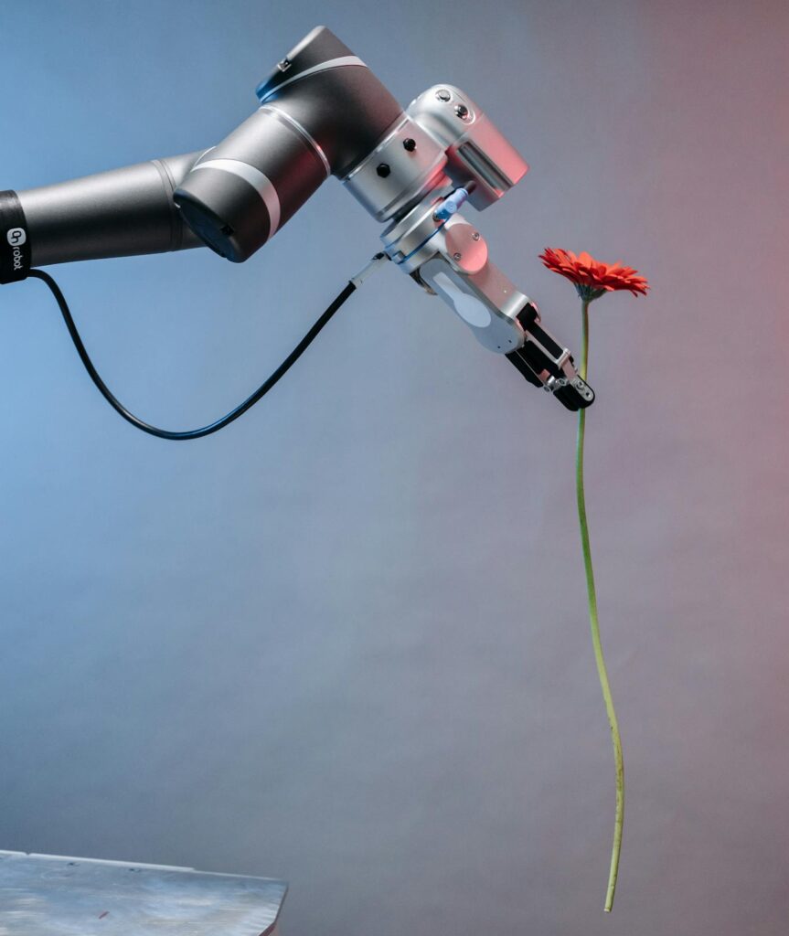 A robotic arm delicately holding a single red flower, symbolizing harmony between technology and nature.